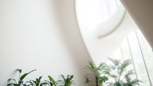 Spațiu interior modern cu lumină naturală și plante.