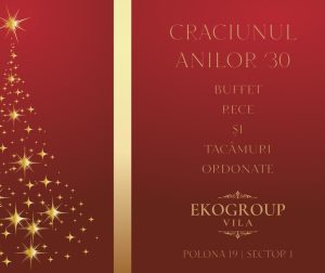 Eko Group Vila: O Călătorie în Eleganța Crăciunului Anilor '30